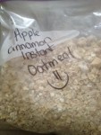 apple cinnamon instant oatmeal