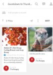 Countdown to Thanksgiving Pinterest Page