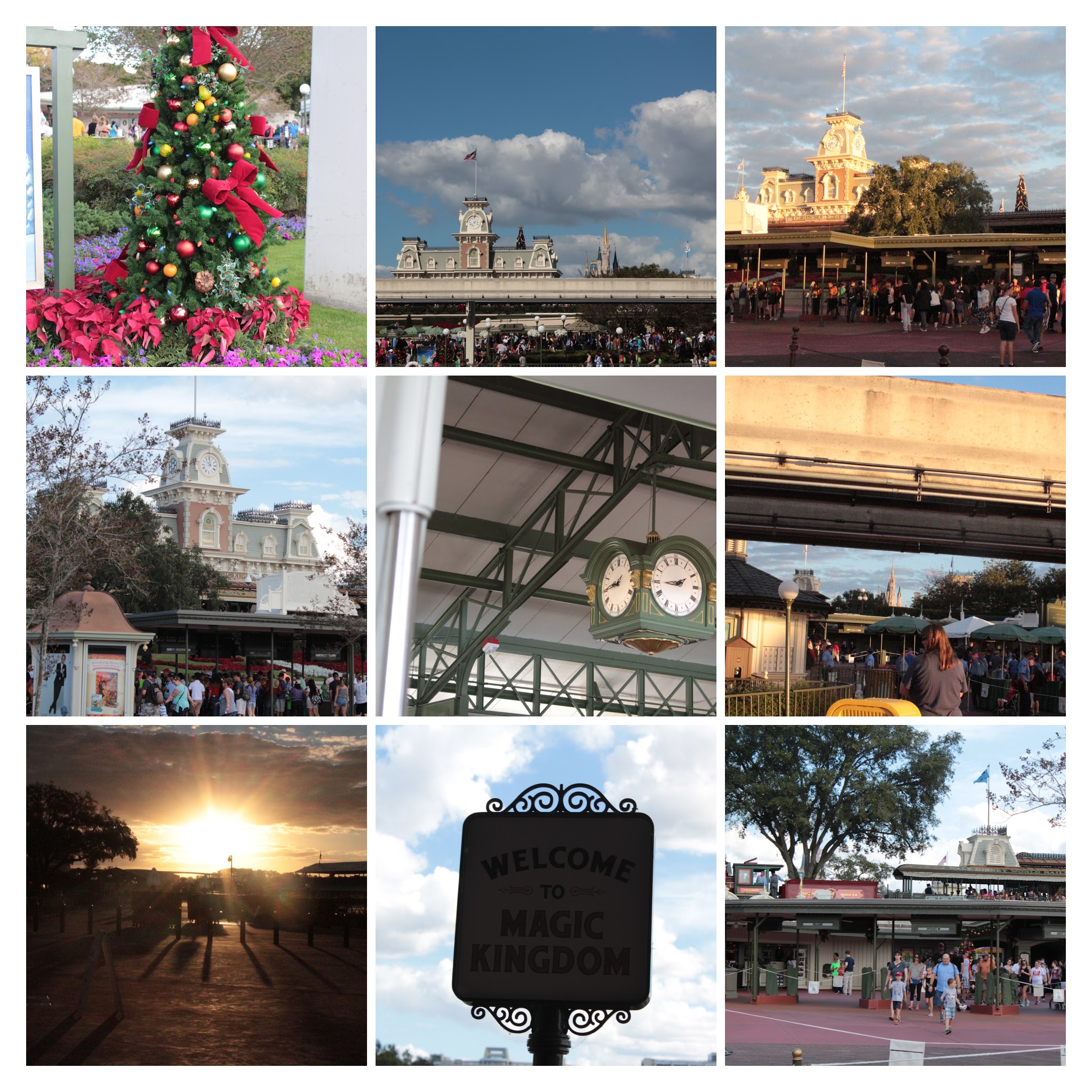 20161125081815_IMG_0008-COLLAGE