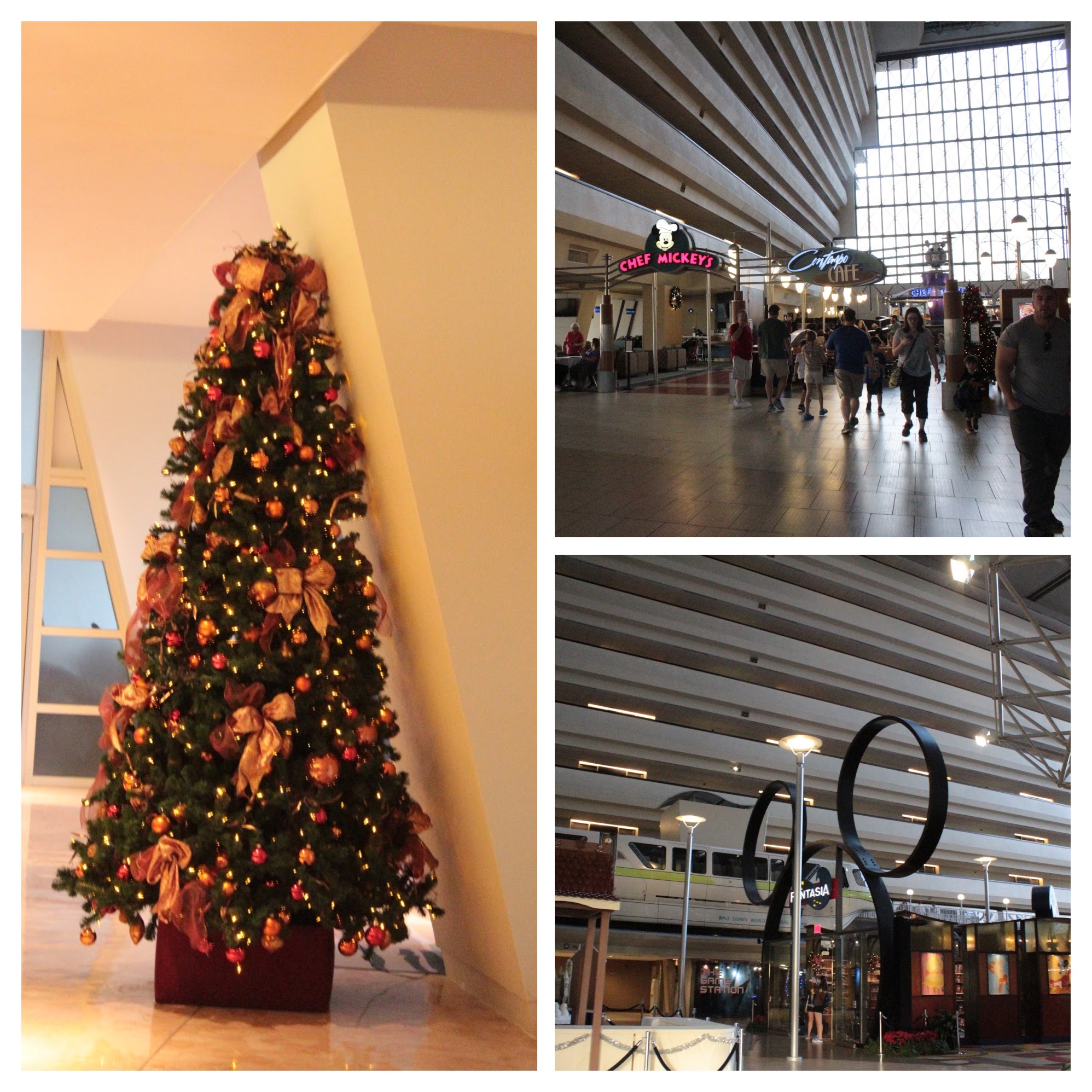 20161125083502_IMG_0024-COLLAGE