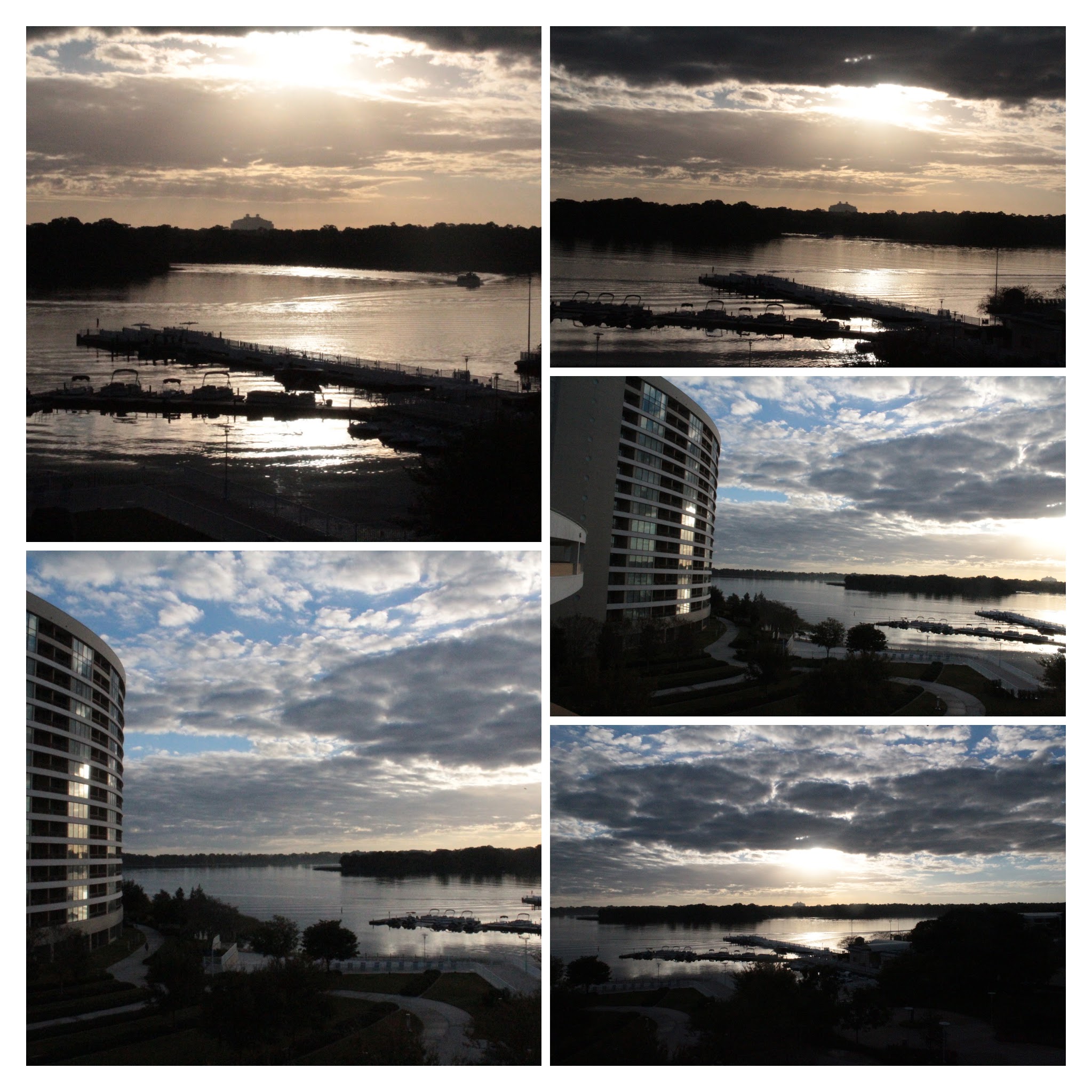 20161125084156_IMG_0052-COLLAGE