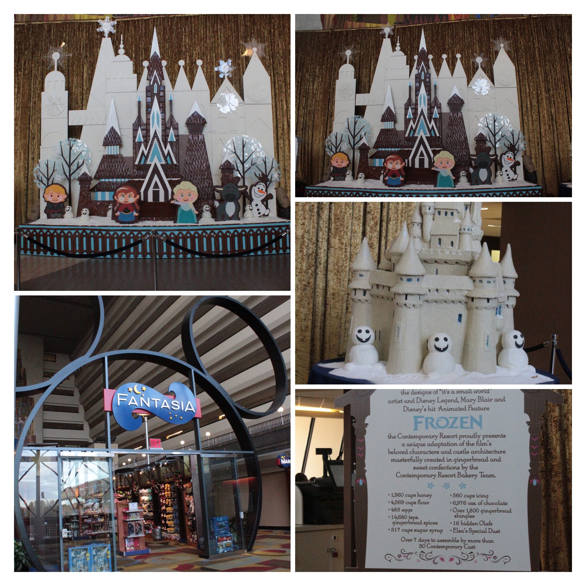 20161125084437_IMG_0058-COLLAGE