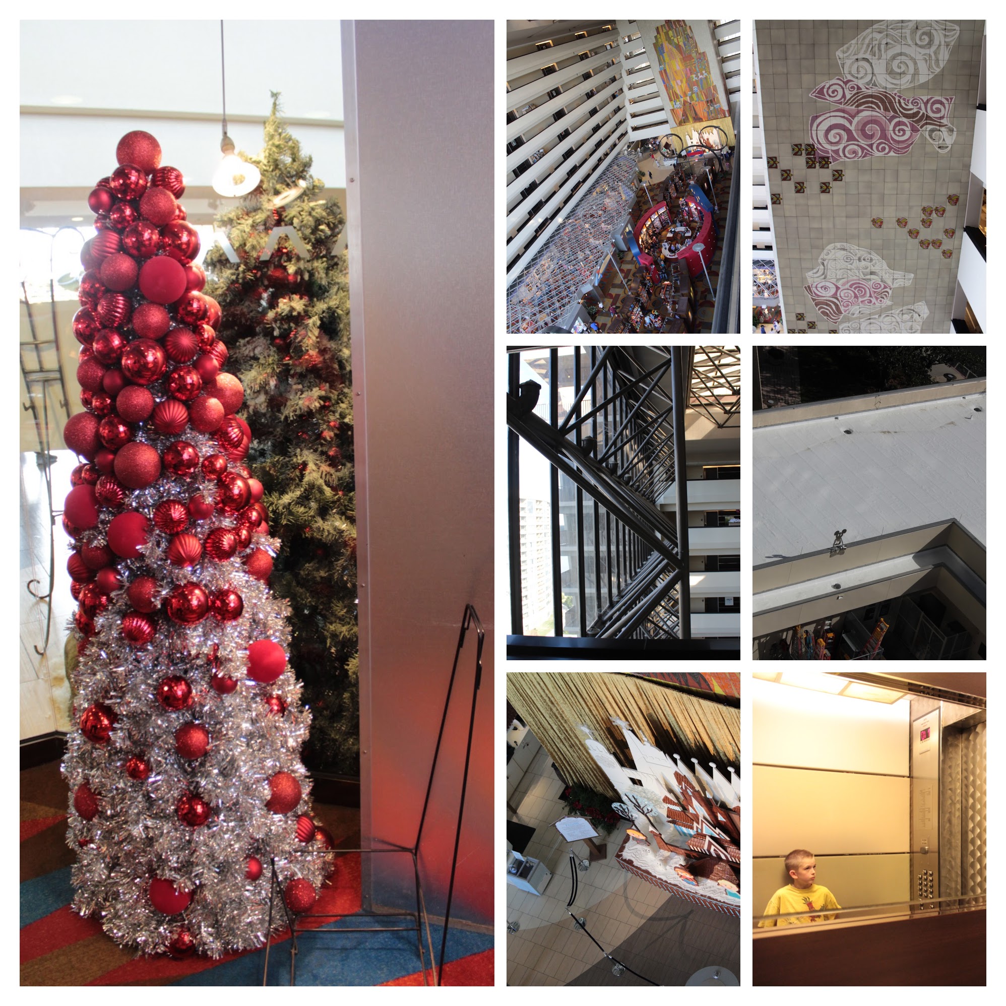 20161125145404_IMG_0578-COLLAGE