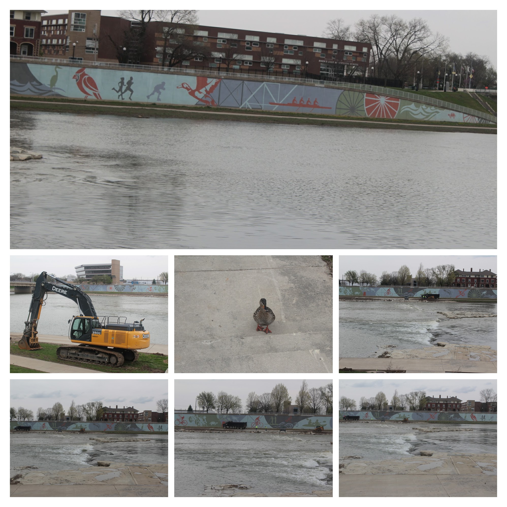 20170411161528_IMG_0406-COLLAGE