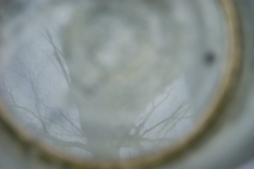 Maple Tapping - February 19, 2011 (76).JPG