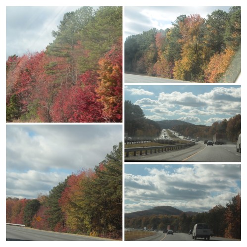 20161119104717_IMG_1587-COLLAGE