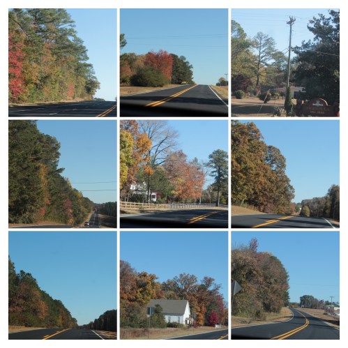 20161119121035_IMG_1614-COLLAGE