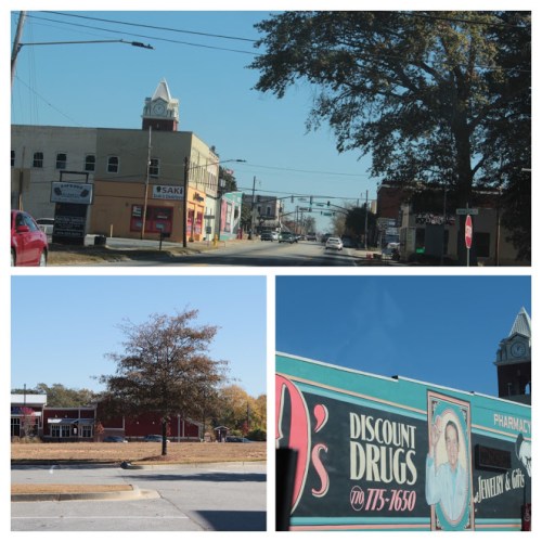 20161119125358_IMG_1638-COLLAGE