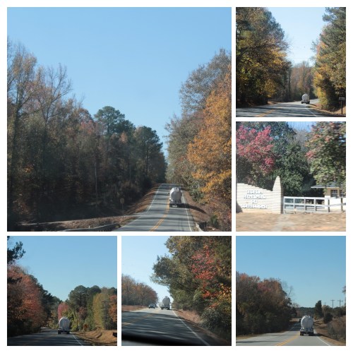 20161119130713_IMG_1643-COLLAGE