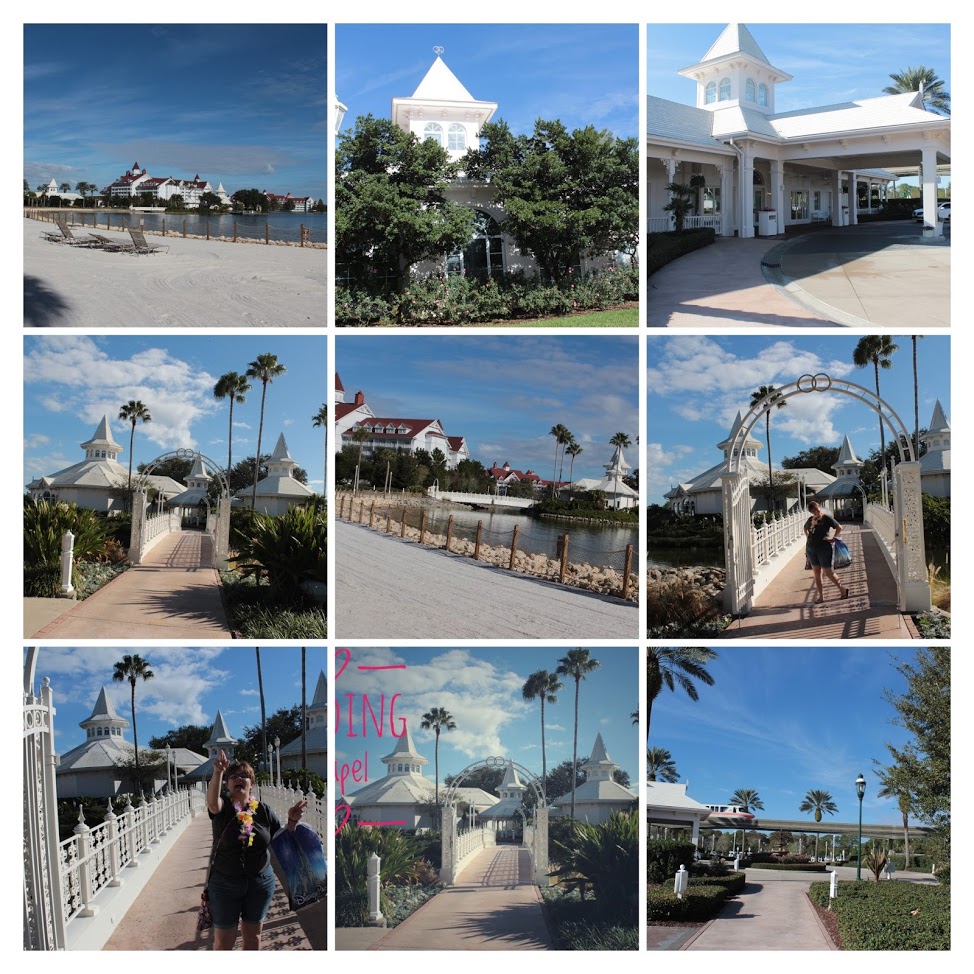 20161125104518_IMG_0109-COLLAGE