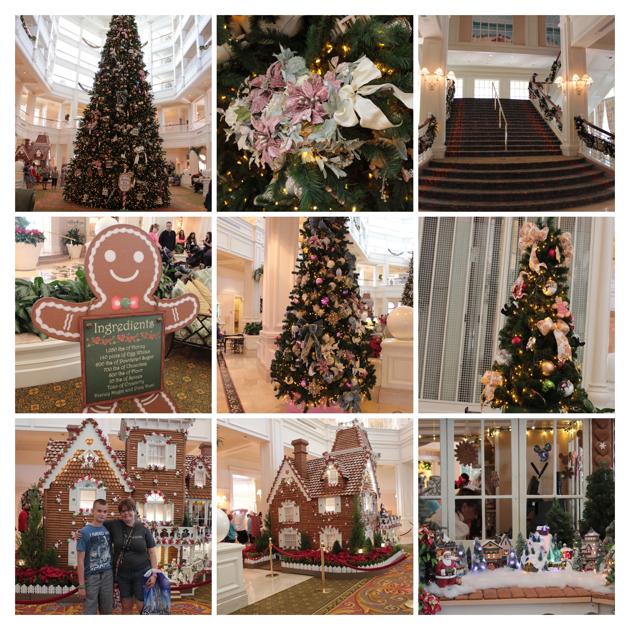 20161125110438_IMG_0185-COLLAGE