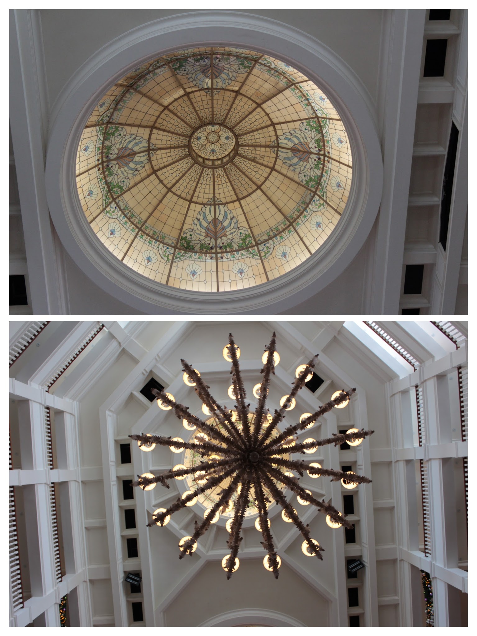 20161125110712_IMG_0196-COLLAGE