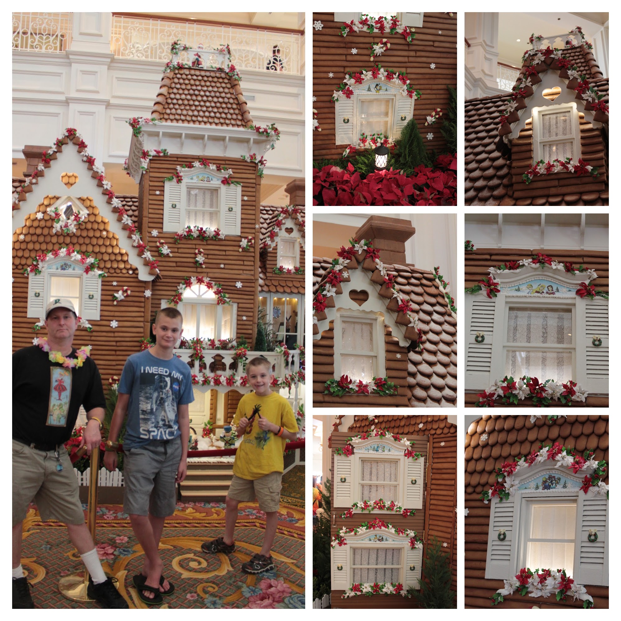 20161125111623_IMG_0216-COLLAGE