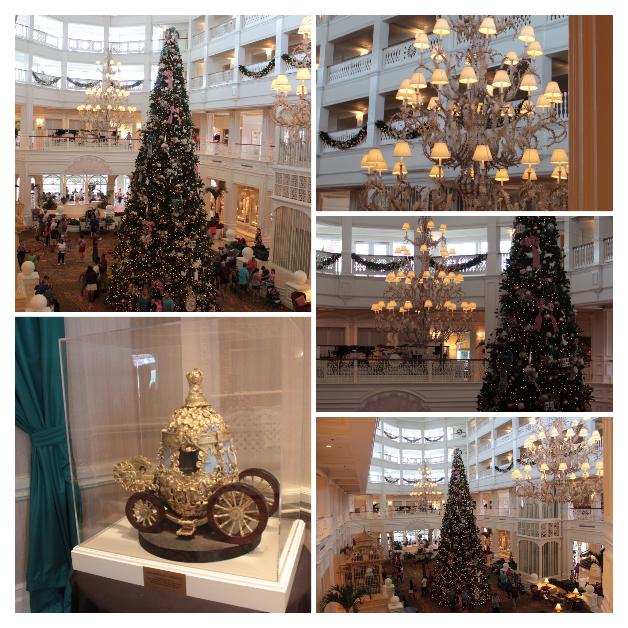 20161125111827_IMG_0225-COLLAGE