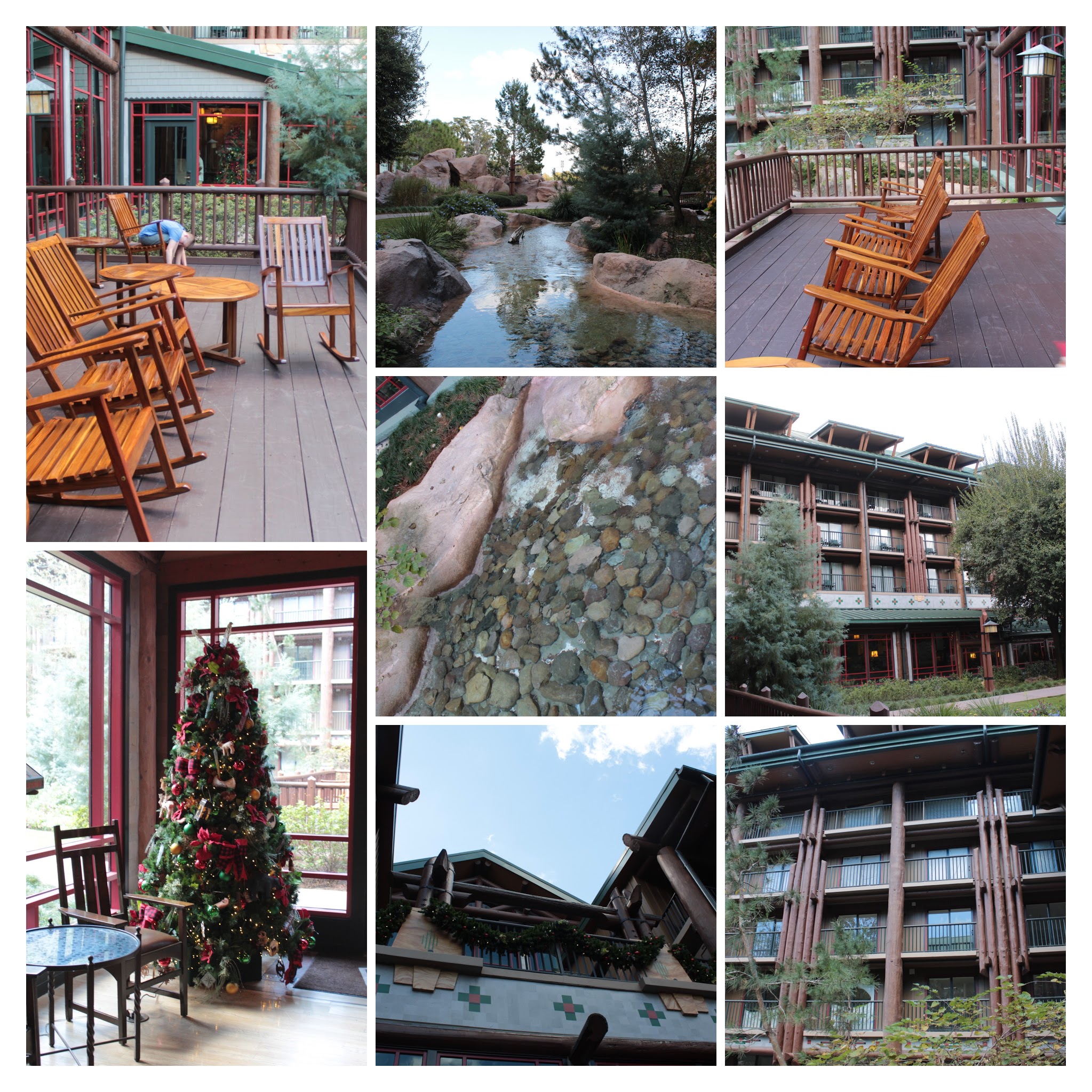 20161125132411_IMG_0389-COLLAGE