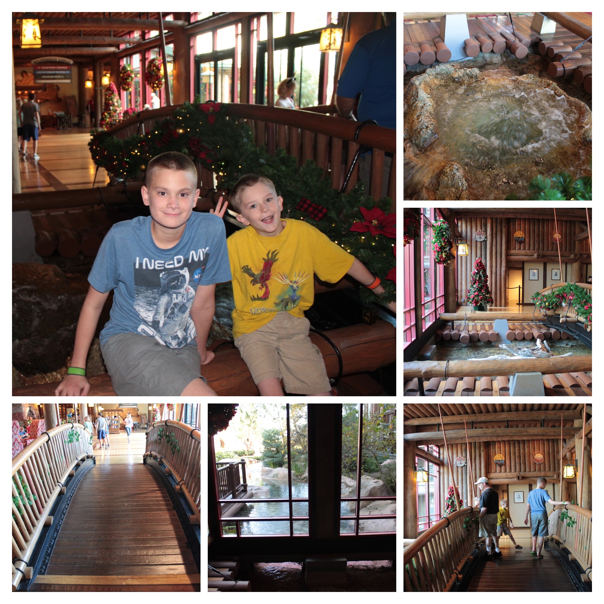 20161125133405_IMG_0408-COLLAGE