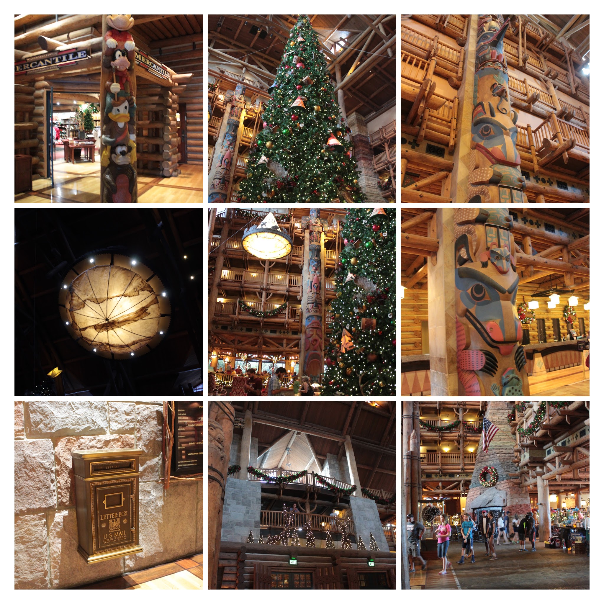 20161125133901_IMG_0423-COLLAGE