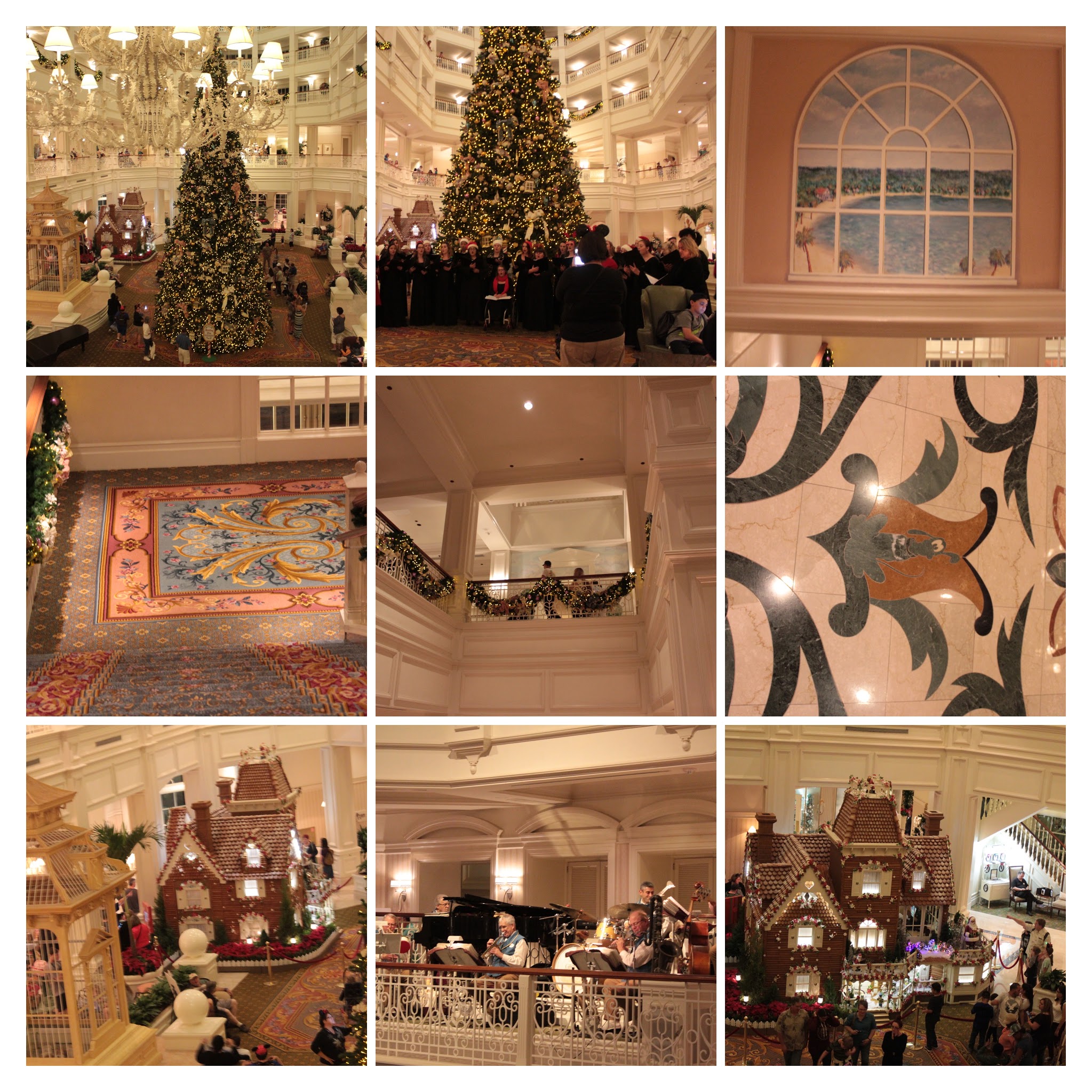 20161125195317_IMG_0130-COLLAGE