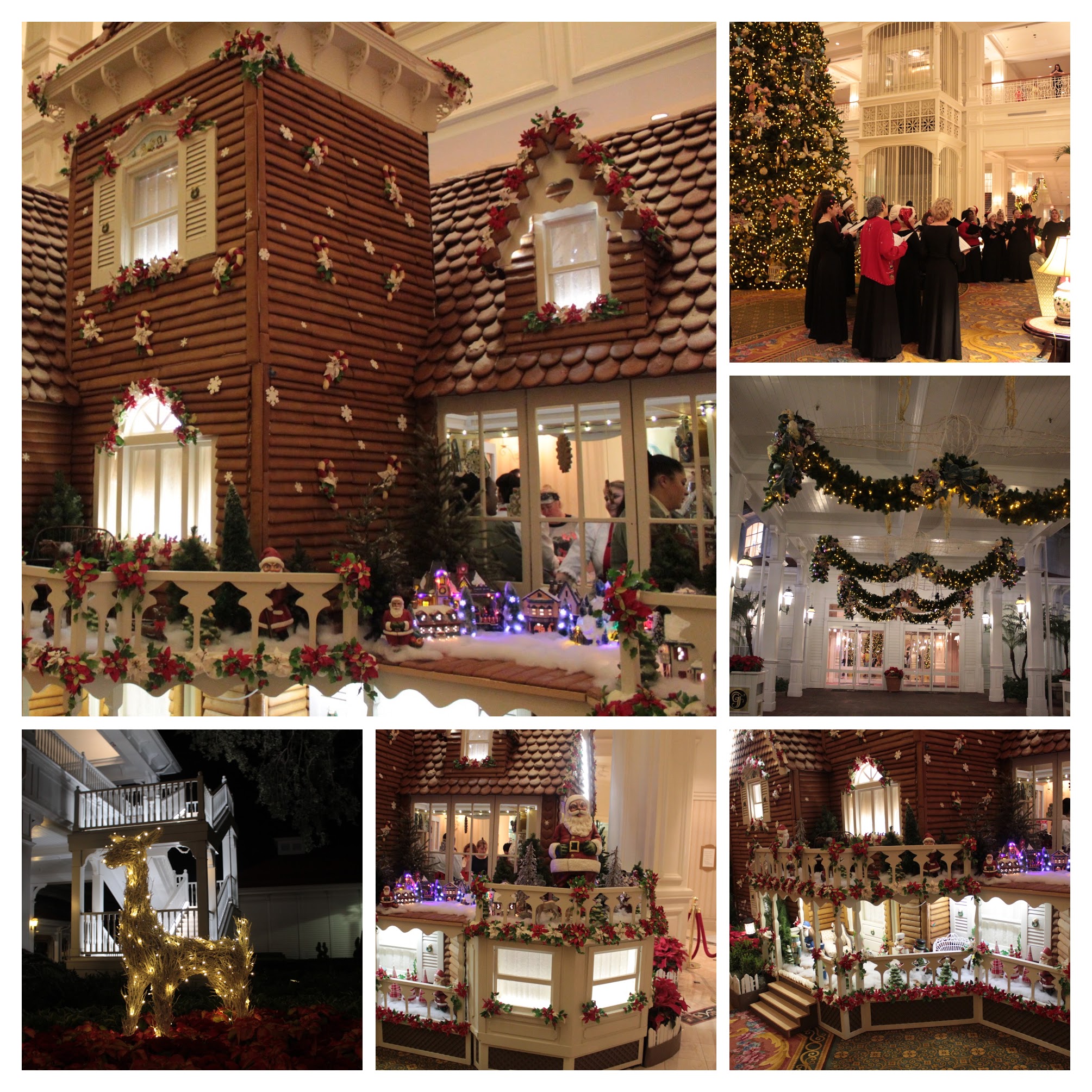 20161125200759_IMG_0144-COLLAGE