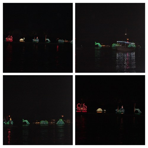 20161125233136_IMG_0401-COLLAGE