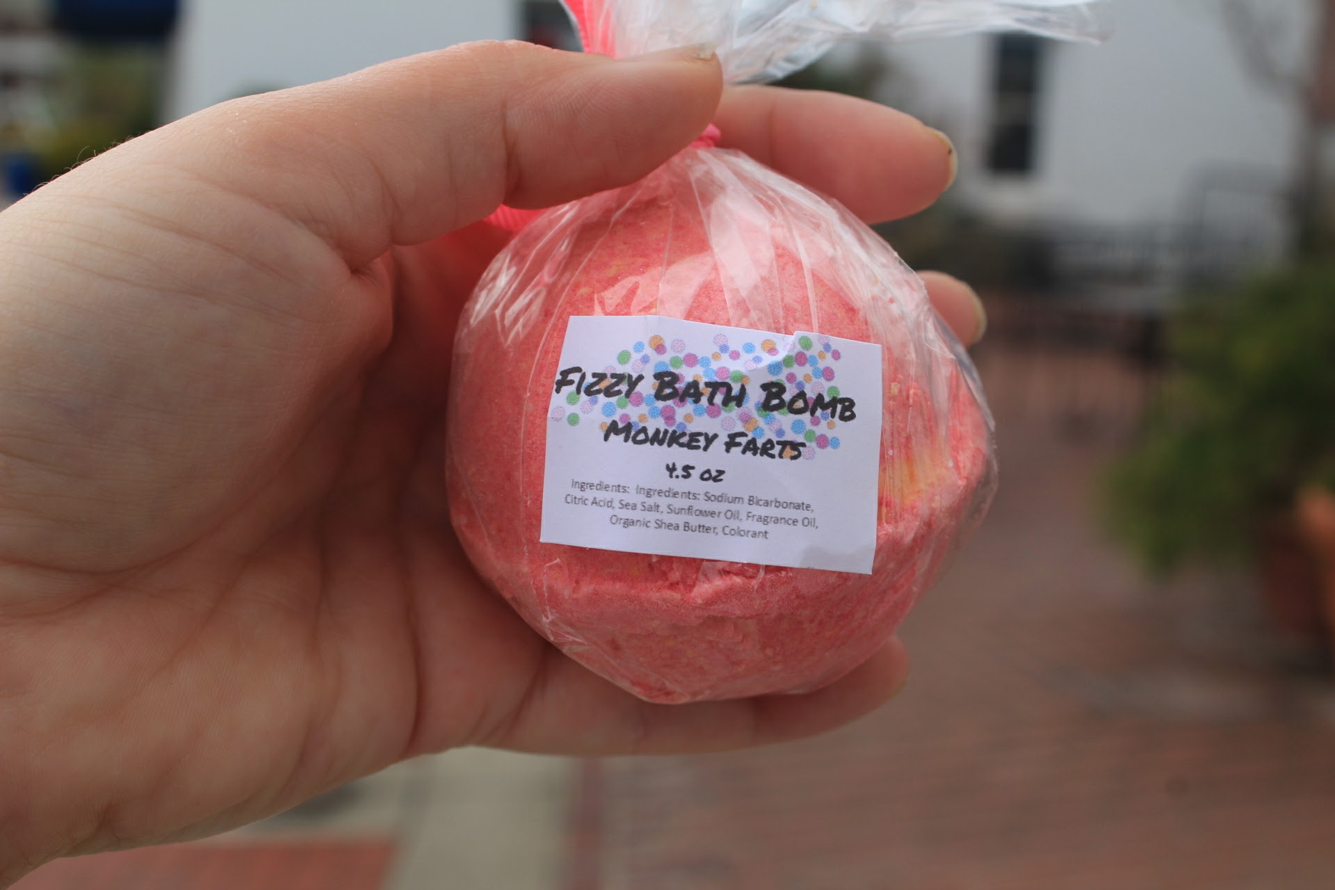 20170330093451_IMG_1514