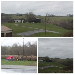 20170331123900_IMG_0049-COLLAGE