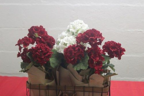 20170521094528_IMG_1752