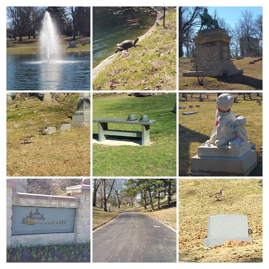 Woodland Cemetery #1