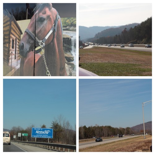 20161127123808_IMG_0554-COLLAGE