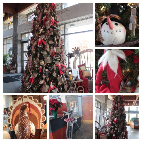 20161127144145_IMG_0579-COLLAGE