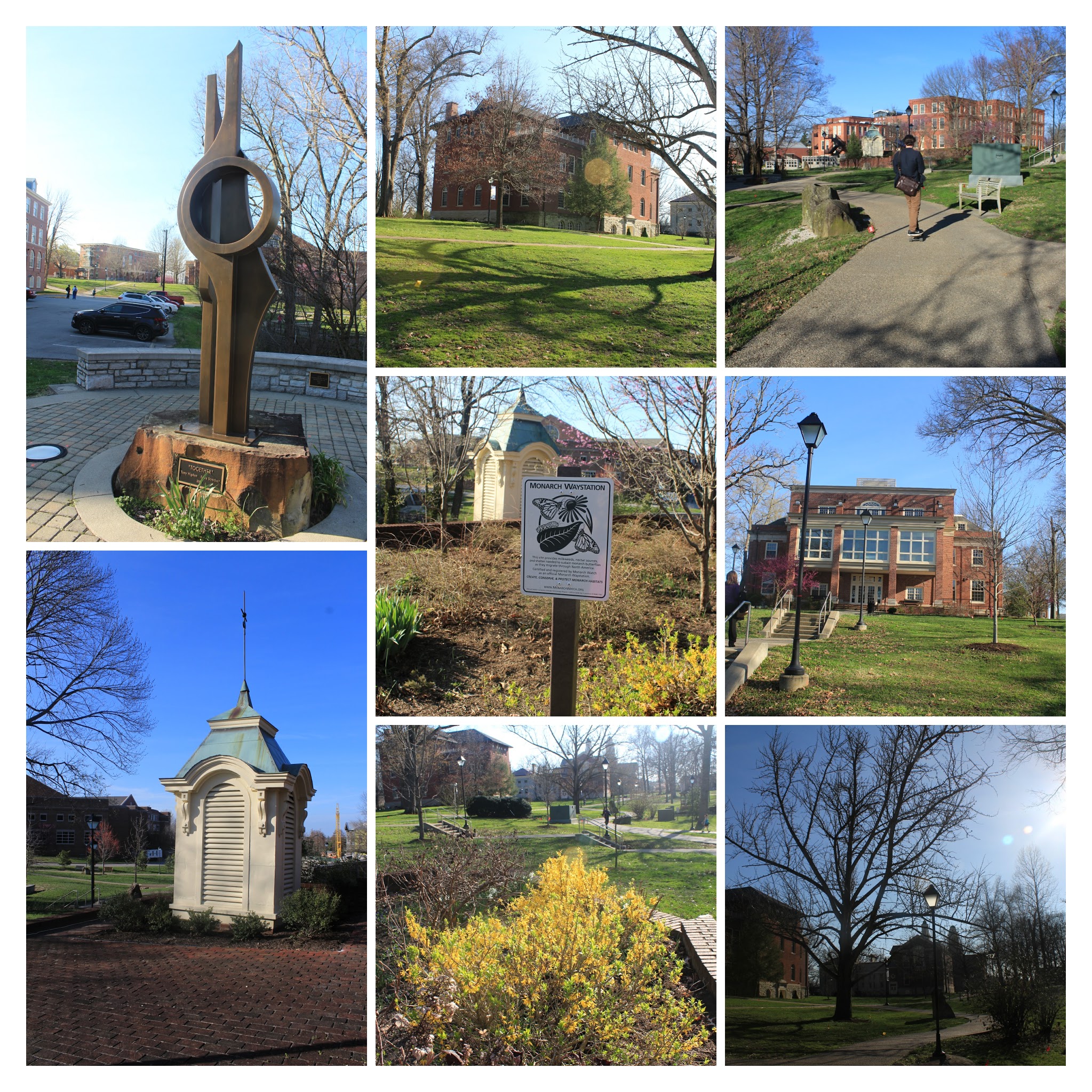 20170329164515_IMG_1403-COLLAGE