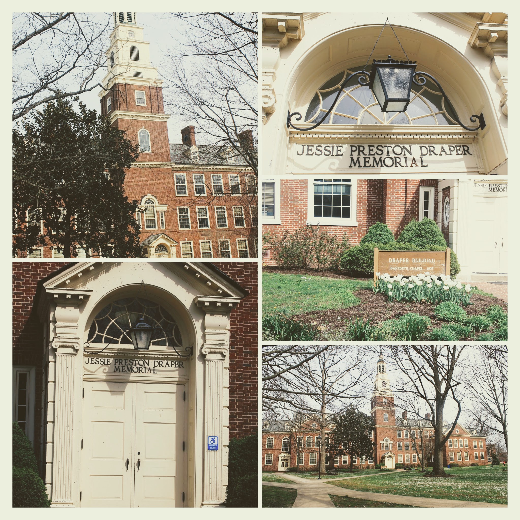 20170330100935_IMG_1548-COLLAGE