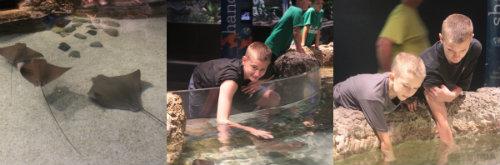 petting the manta rays.jpg