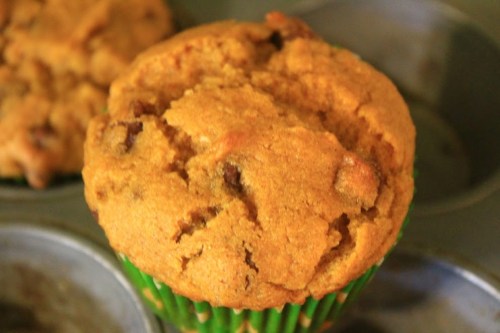 Gluten Free Chocolate Chip Pumpkin Muffins