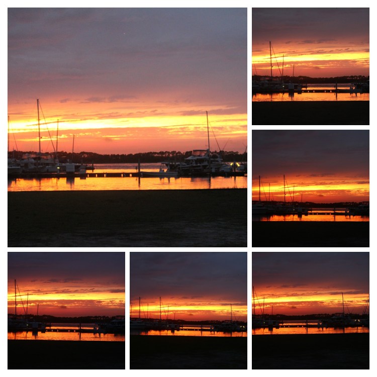 20170625204028_IMG_1549-COLLAGE