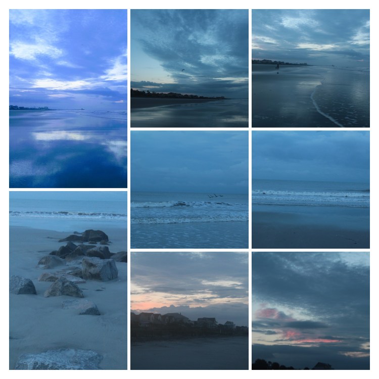 20170626055430_IMG_1565-COLLAGE