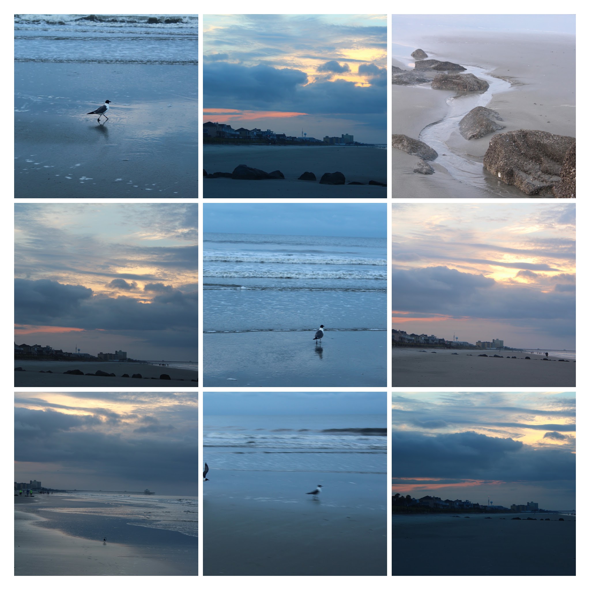 20170626062237_IMG_1627-COLLAGE