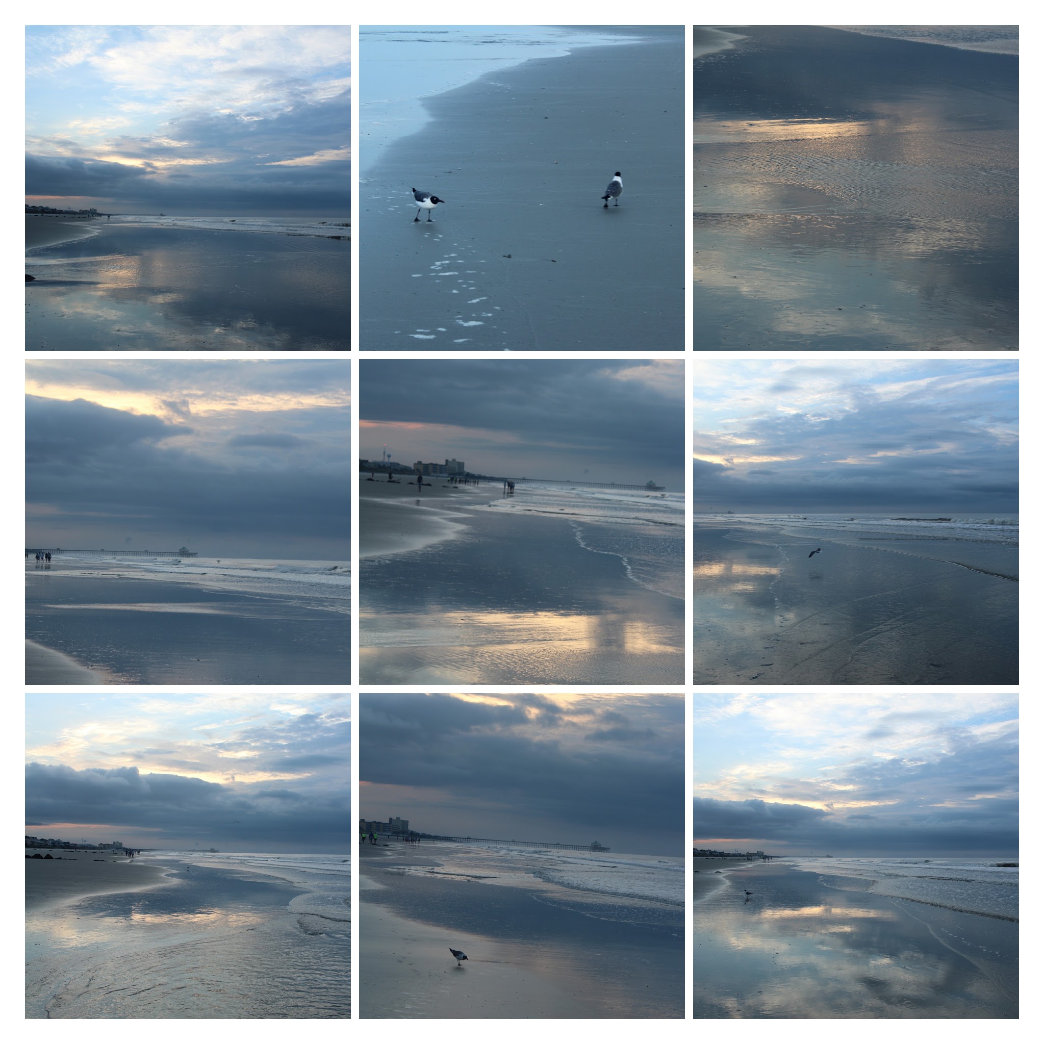 20170626062845_IMG_1650-COLLAGE