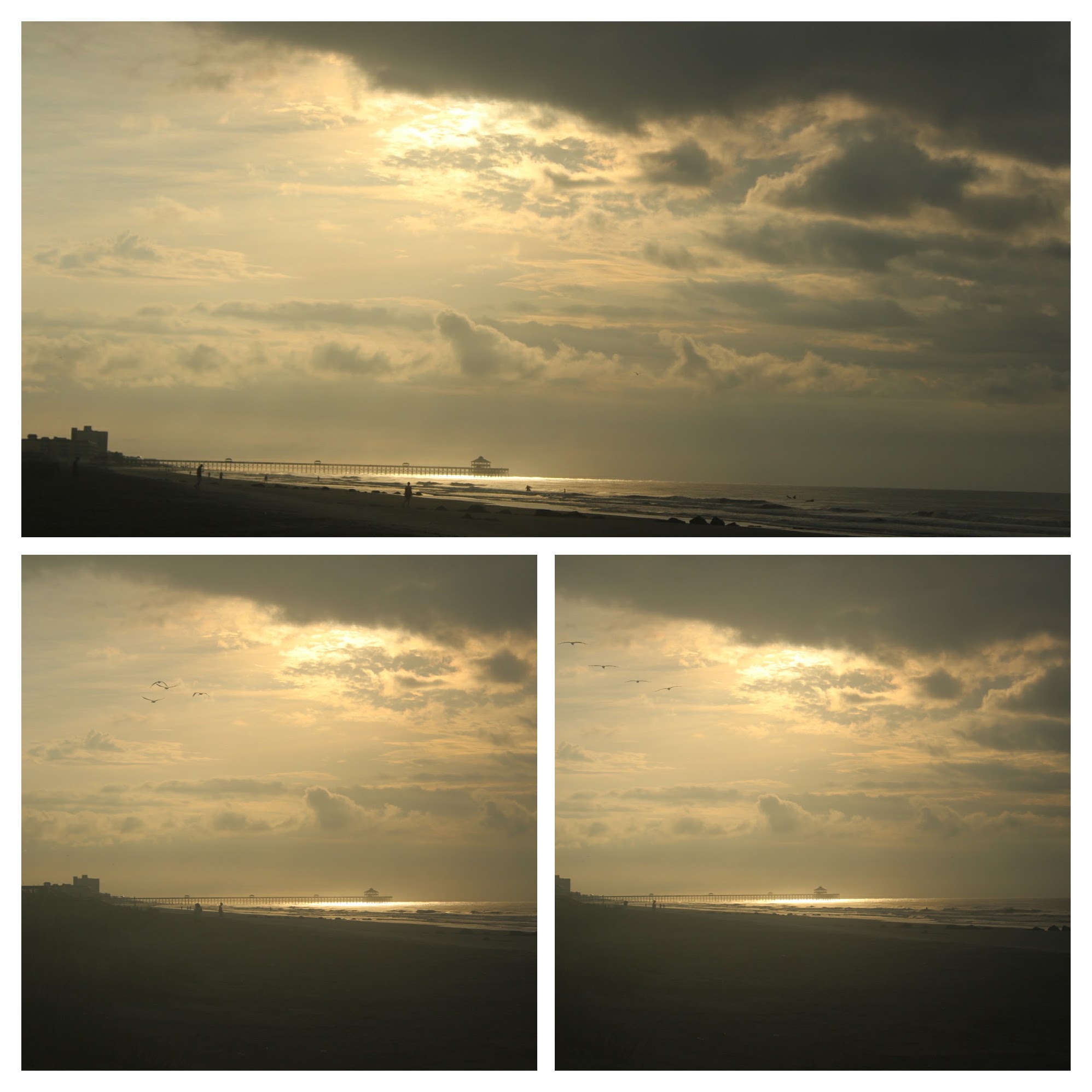 20170626070926_IMG_1678-COLLAGE