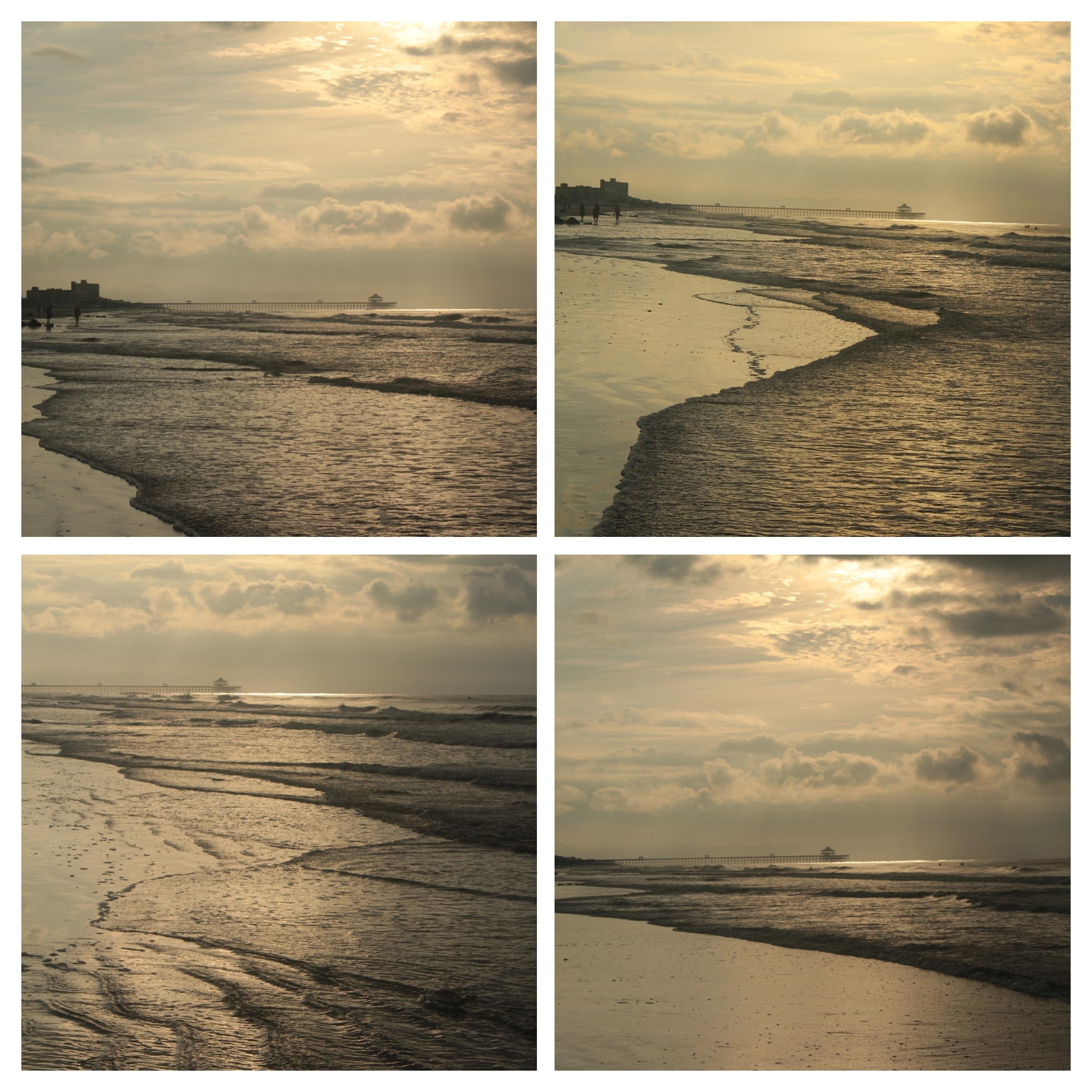 20170626071259_IMG_1698-COLLAGE