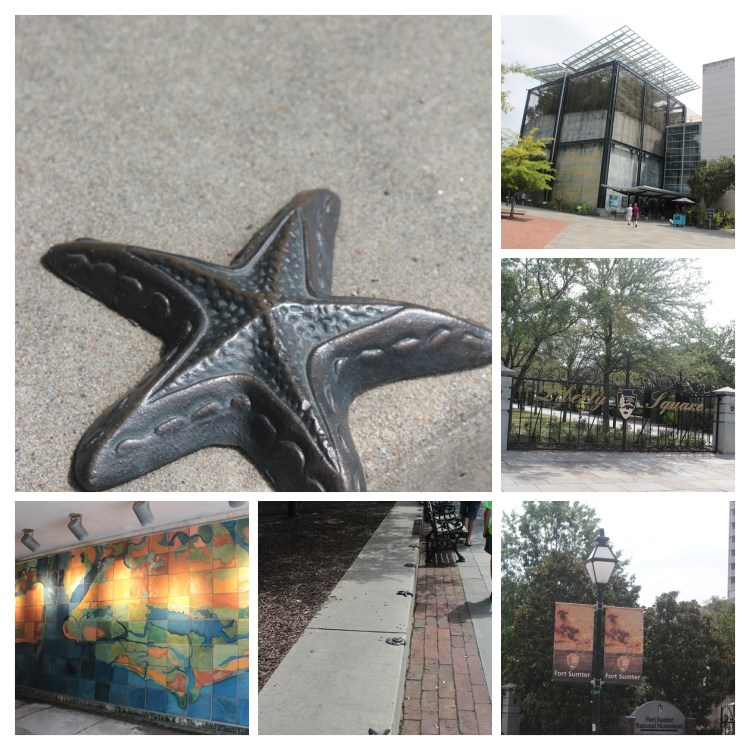 20170626105433_IMG_1711-COLLAGE