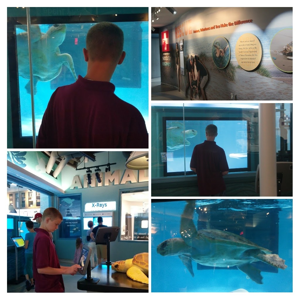 20171111_144256-COLLAGE