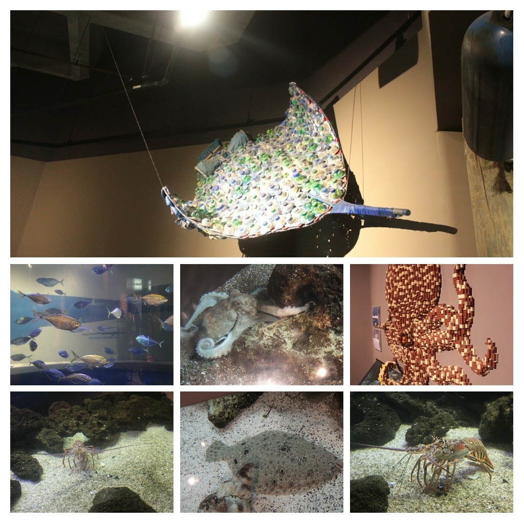 20171111_145146-COLLAGE