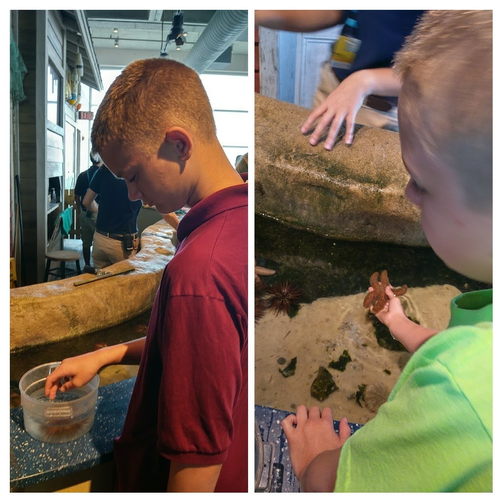 20171111_145318-COLLAGE