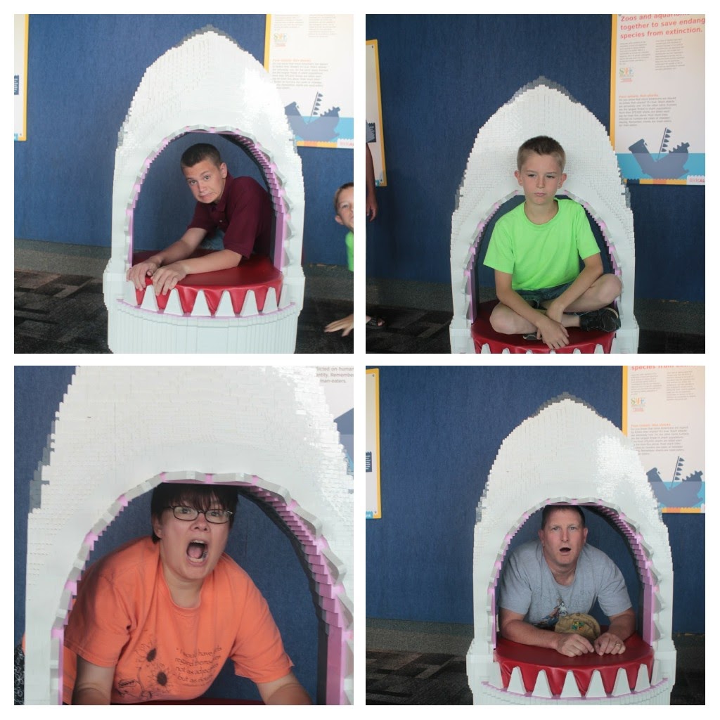 20171111_150549-COLLAGE