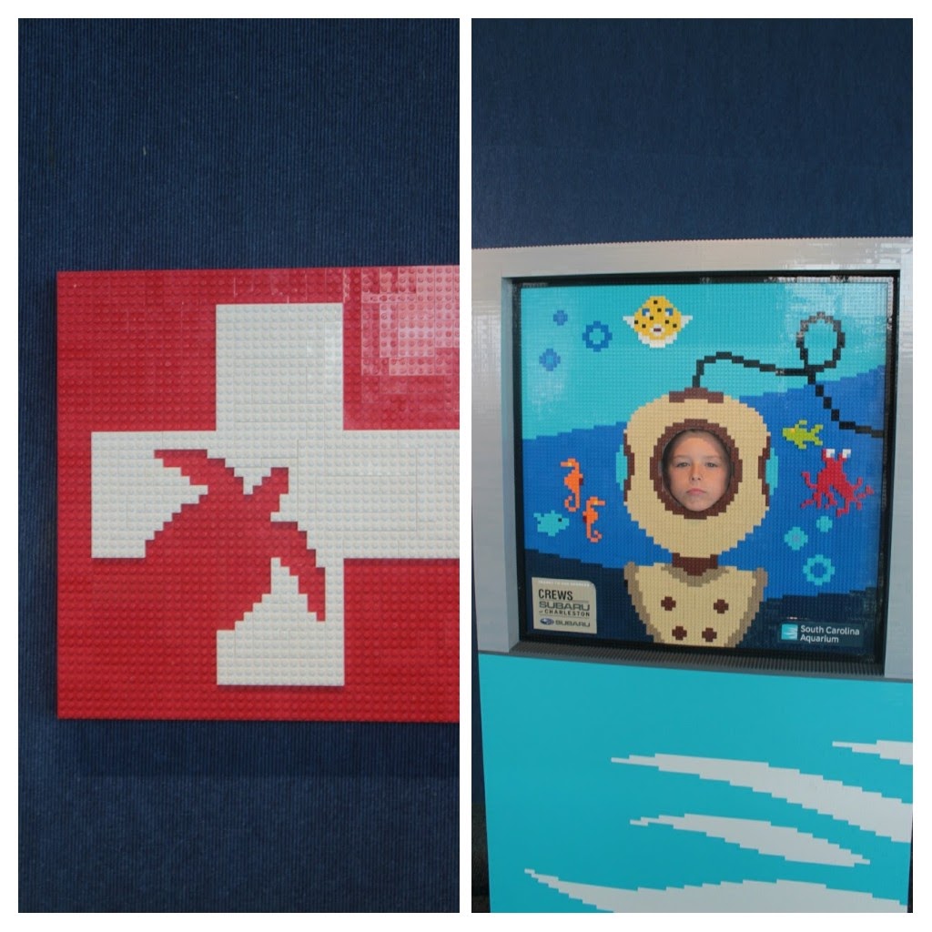 20171111_150608-COLLAGE