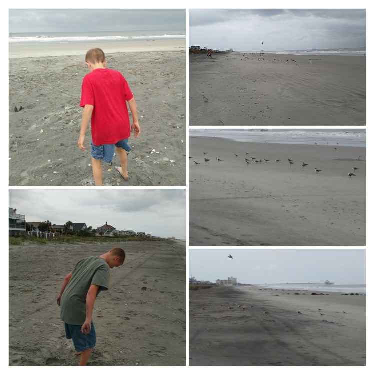 IMG_20170625_173819-COLLAGE