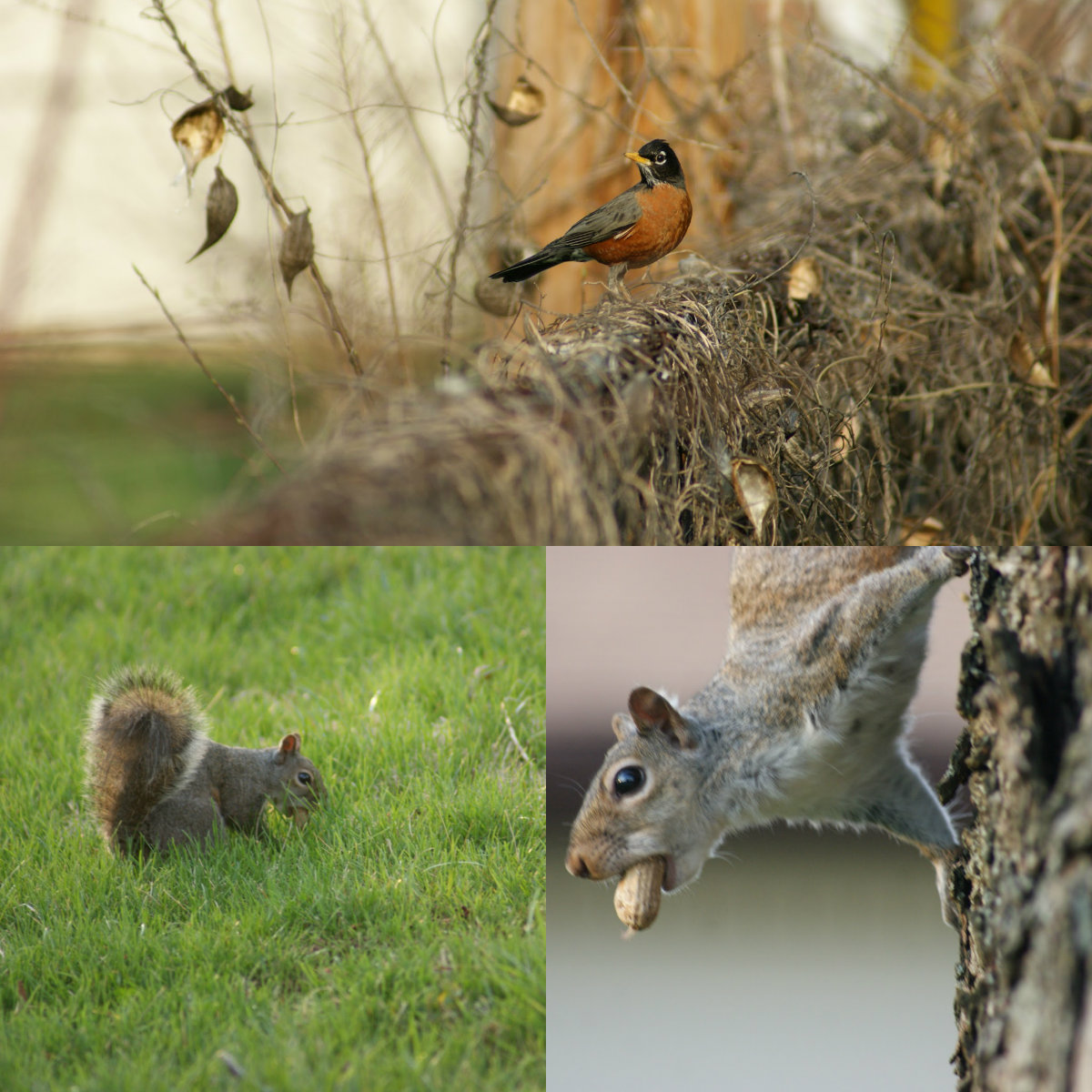 TBT – Signs of Spring – Believe in the Magic Traci Diary