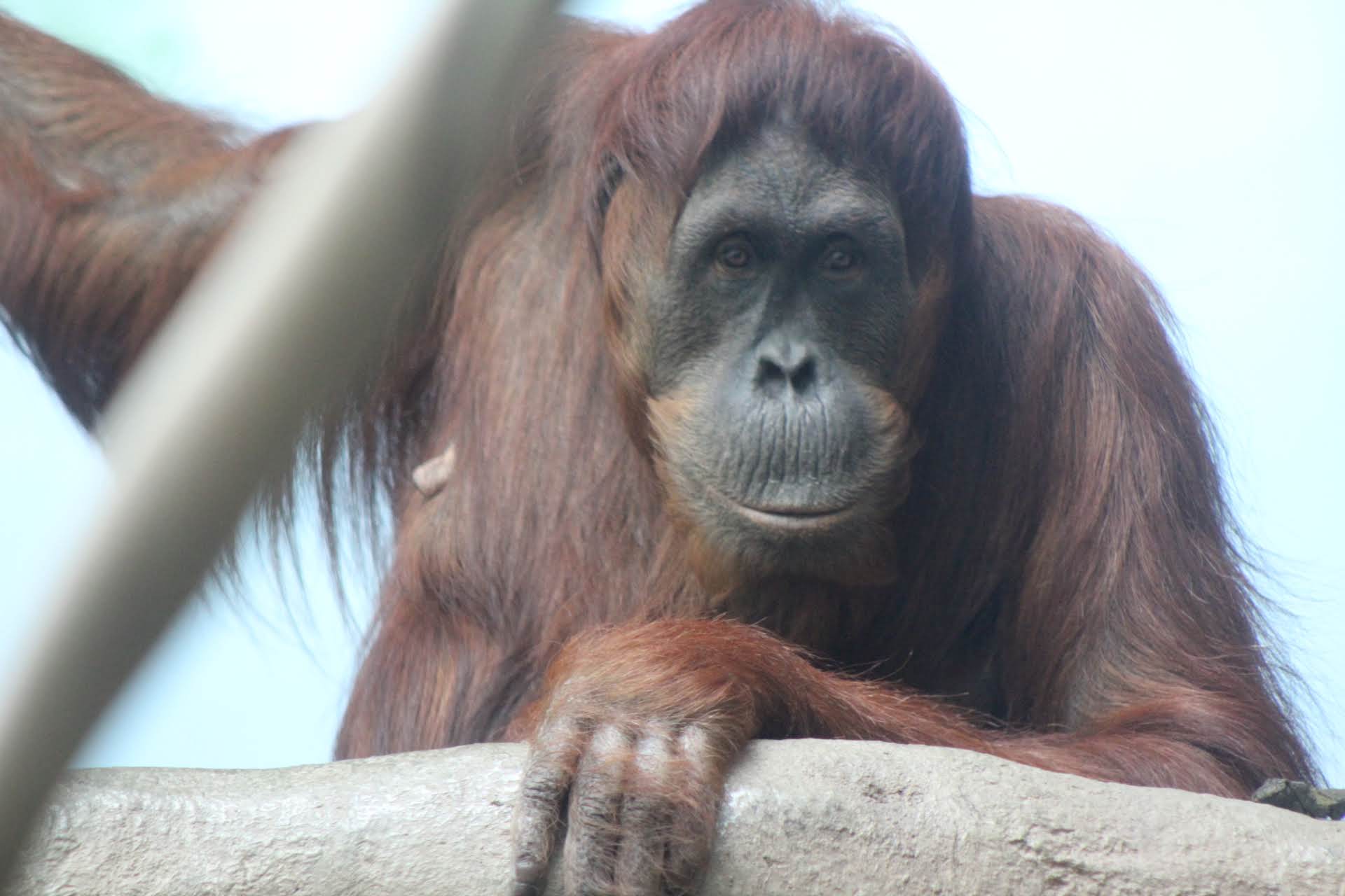 20181026122623_IMG_3472