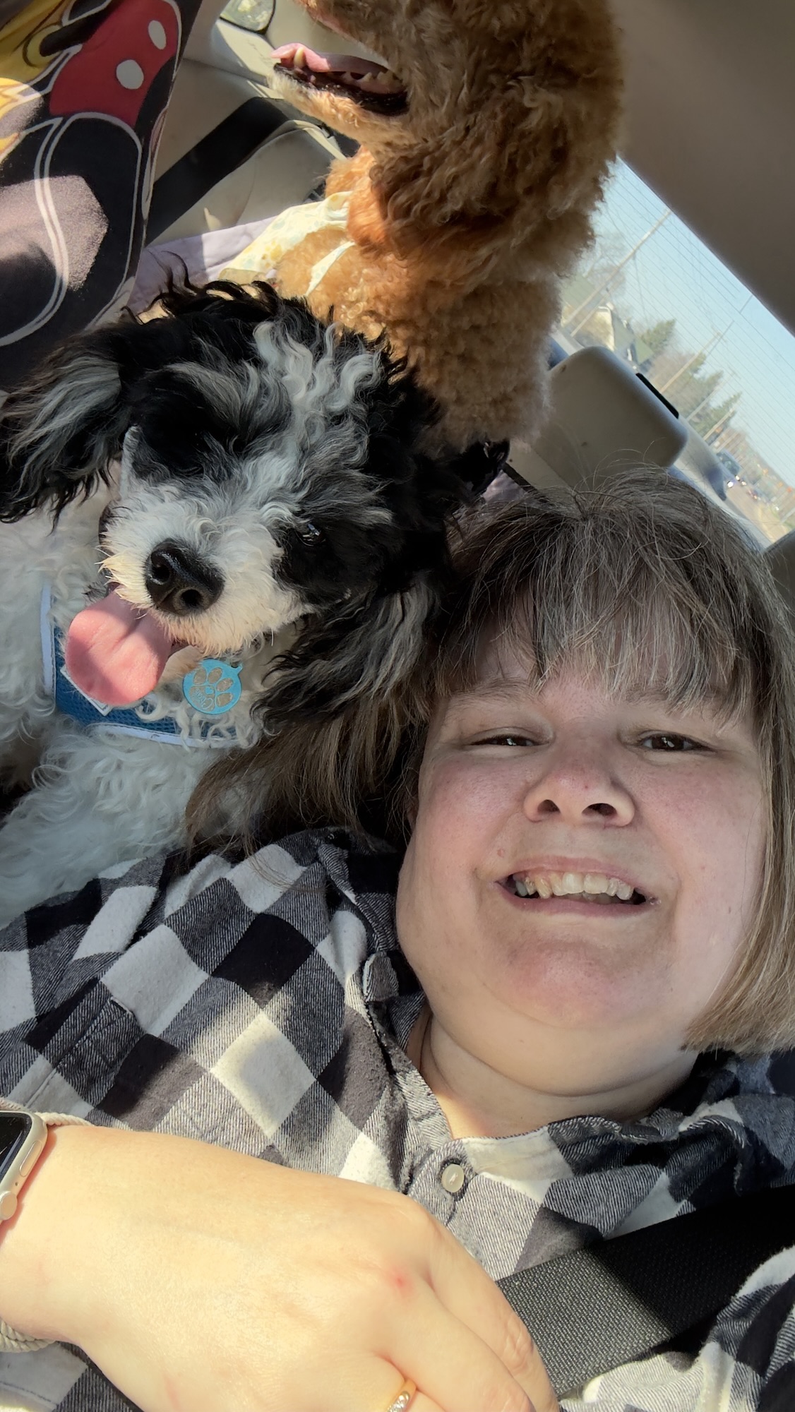 Believe in the Magic Traci Diary